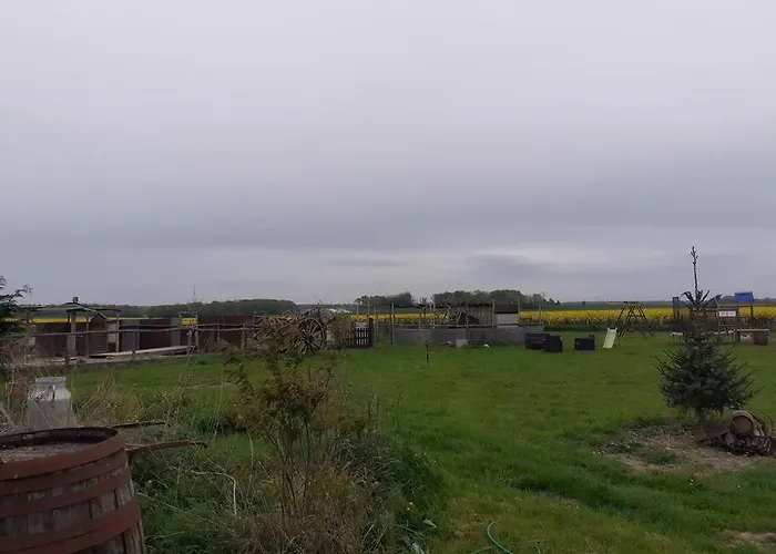 Zen, Detente Et Relaxation *